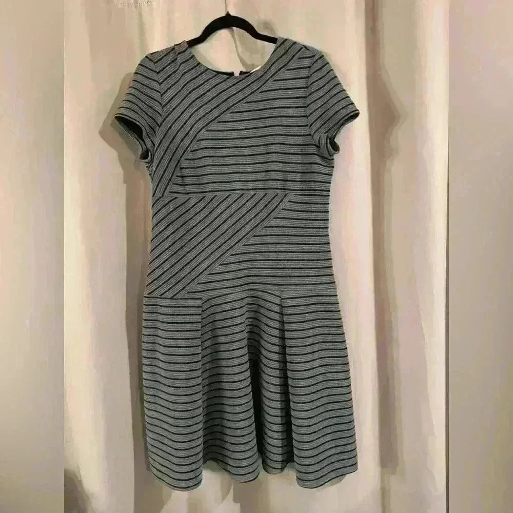 Women’s Sandra Darren Dress